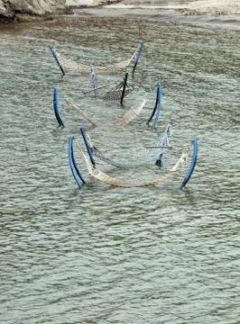 Sea hammock Stock Photos