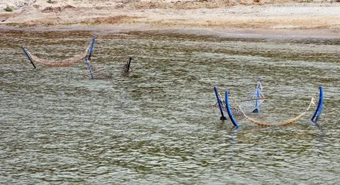 Sea hammock Stock Photos