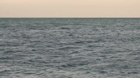 Sea &amp; horizon 動画素材 12552387