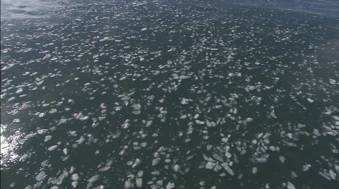 Sea with ice 2 Video stock 793461