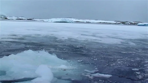 Sea Ice in Antarctica Stock Footage 125729338