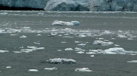 Sea Ice flow Alaska Stock Footage 45538245