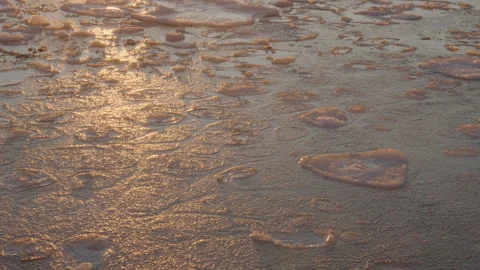 Sea ice forming on cold winter day Reykjavik Iceland Stock Footage 300218217