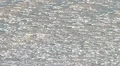 Sea Ice on Gentle Waves in the Evening 2 HD Footage