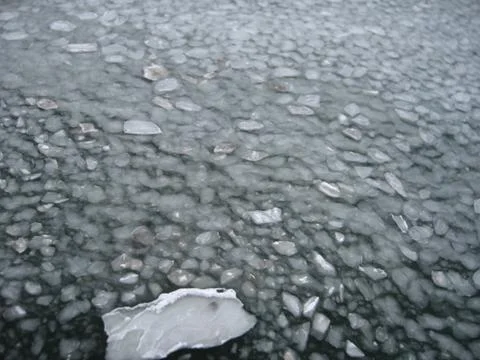 Sea ice Stock-Fotos