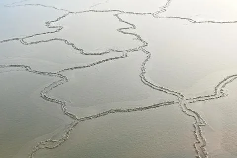 Sea ice. Foto stock