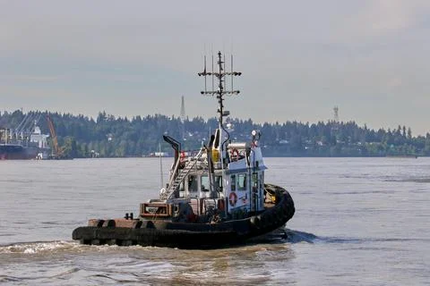 Sea Imp IX Stock Photos