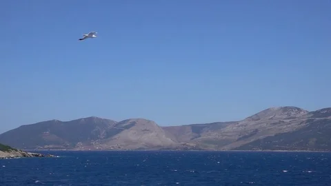 Sea island 動画素材 77686682