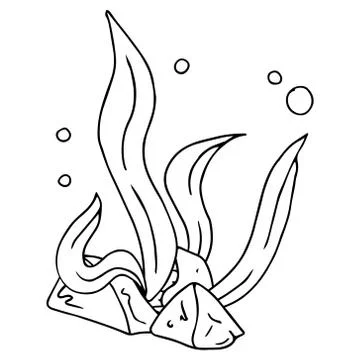 Sea kale. Vector illustration of algae. Hand drawn sea kale, seaweed. Stock Illustration