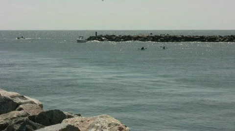 Sea kayakes Stock Footage 457622