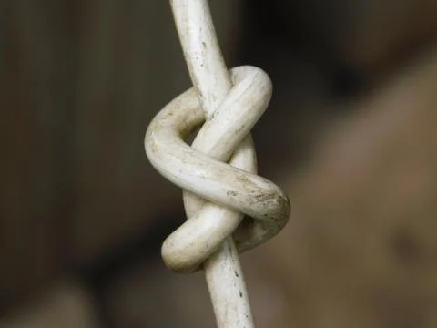 A sea knot Stock Photos