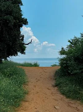 Sea landscape view through the trees. Scenic view of seascape Foto stock
