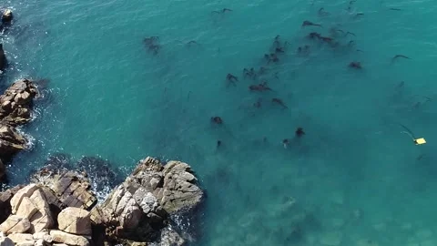 Sea landscape of waves, waves through the rocks Video stock 310231036