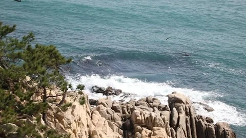 Sea landscape of waves, waves through the rocks 스톡 동영상 310231051