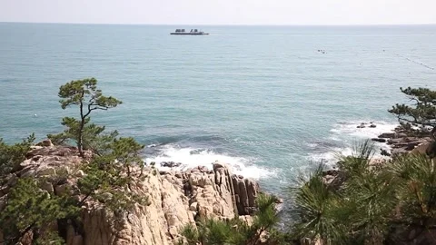 Sea landscape of waves, waves through the rocks 스톡 동영상 310231053