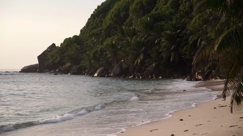 The sea lapping a calm beach Stock Footage 101659309