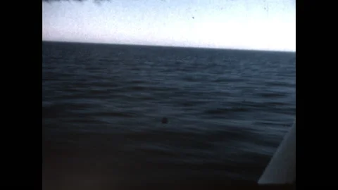 Sea Level Flying 1966 Stock Footage 150229158