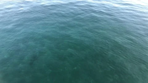 Sea level Stock-Footage 220760095