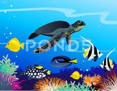 Sea Life Background