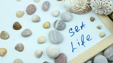 Sea life composition close up Stock Footage 87202957