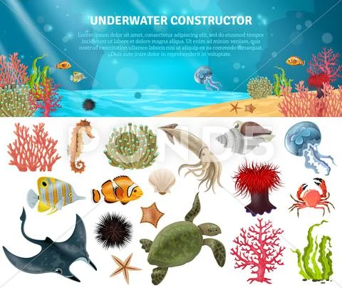 Sea Life Constructor Isolated Icons Set Stock Illustrationen