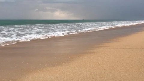 Sea Life Stock Footage 89556090
