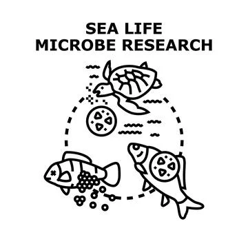 Sea life microbe ecosystem research and study Stock Illustration