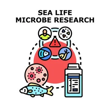 Sea life microbe research vector concept Stock Illustration