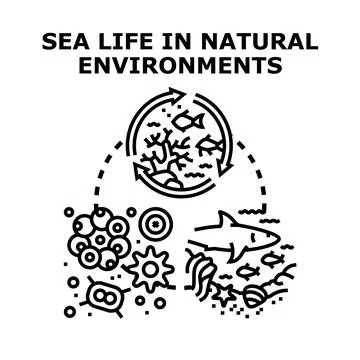 Sea life in natural environments developing ecosystem Stock Illustration