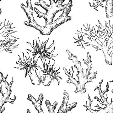 Sea life pattern Stock Illustration