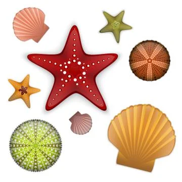 Sea life set Stock Illustration