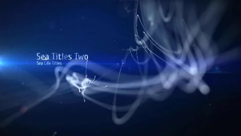 Sea Life Titles  After Effects	Stock
