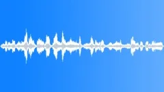 SEA LIONSound Effect