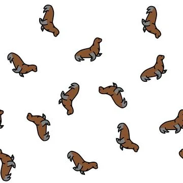 Sea lion vector seamless pattern Illustrazione stock