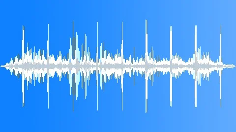 Sea Lions Multiple Sound Effect