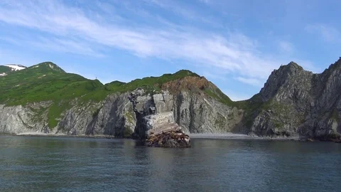 Sea lions. Sea Safari journey from the Peninsula Kamataka. Stock Footage