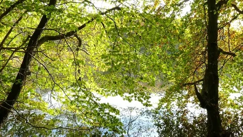 Sea look Stock Footage 72904661