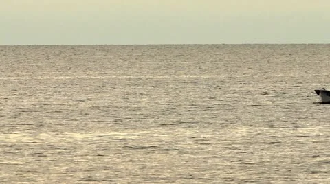 Sea love Stock Footage 20504622