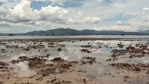 The sea at low tide Video stock 104046168