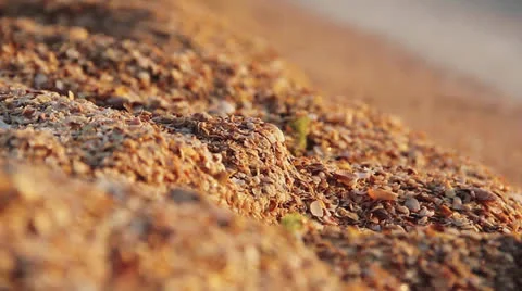 SEA MACRO ZOOM Stock Footage 26326549