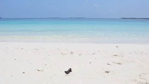 Sea Maldives Stock Footage 170116854