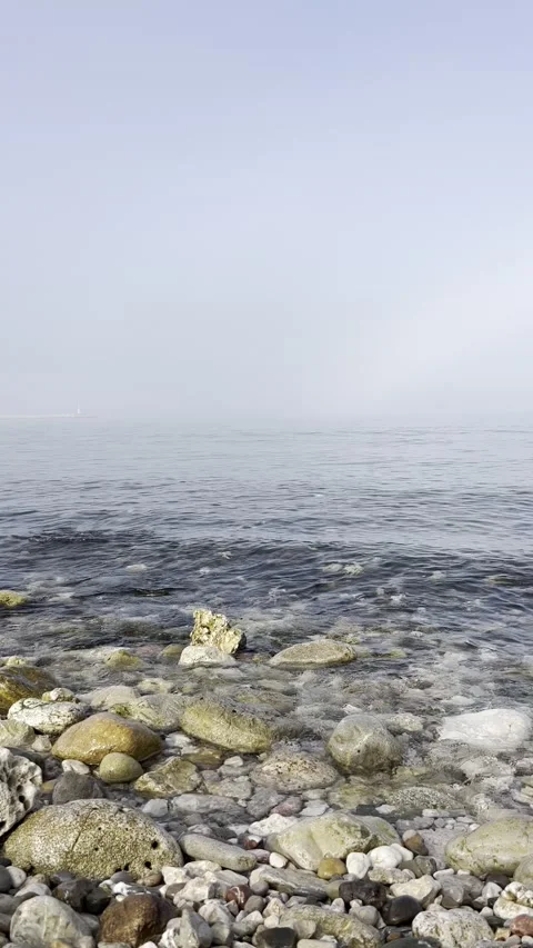 Sea mist 库存影片 204905982