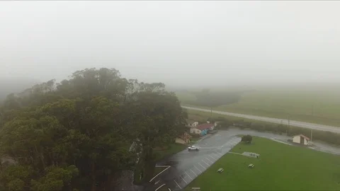 Sea the mist moves over the tree Video stock 98507560