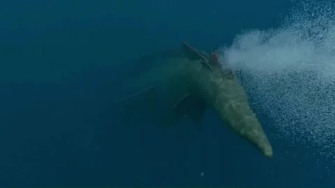 Sea monster ocean creature leviathan