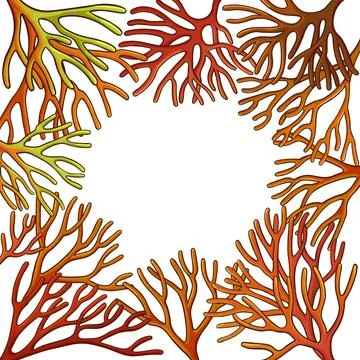 Sea moss frame Stock Illustration