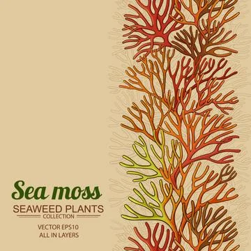 Sea moss horizontal pattern Stock Illustration