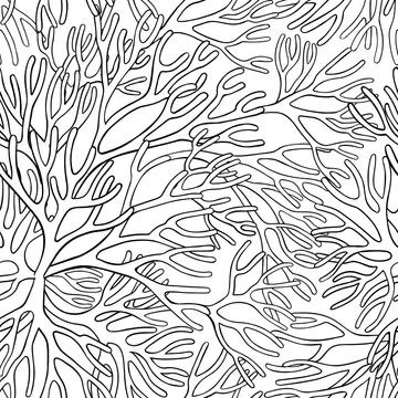 Sea moss plant vector pattern on white background Illustrazione stock