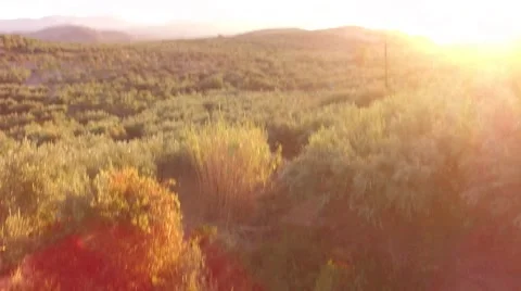 Sea Mountain Sunset 1 Stock Footage 65491317