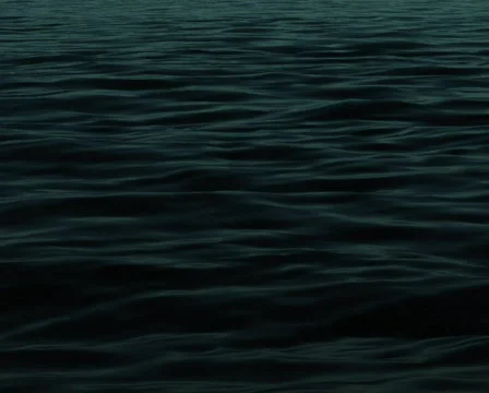 Sea Move Video stock 103637