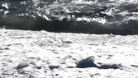 The sea moved by the strong wind crashes with strong waves on the beach Stock-Footage 84024945